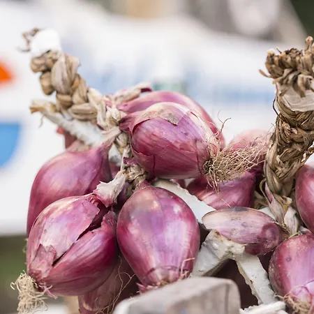 Calabrisella Hotel Ricadi