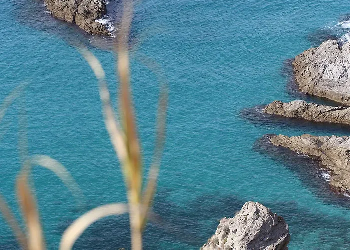 Calabrisella Ξενοδοχείο Ricadi