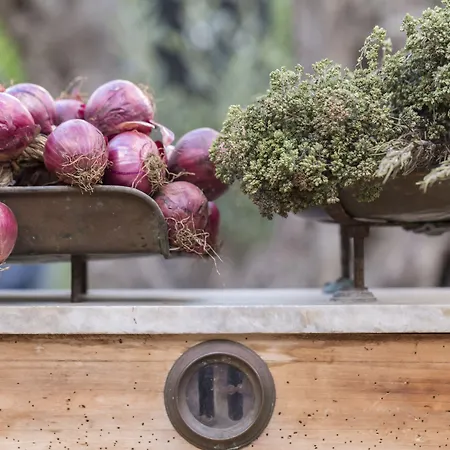 Hotel Calabrisella Ricadi