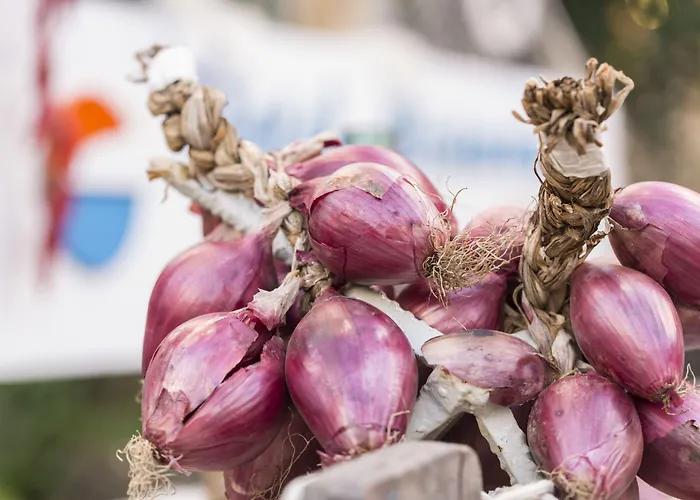 Calabrisella Hotel Ricadi